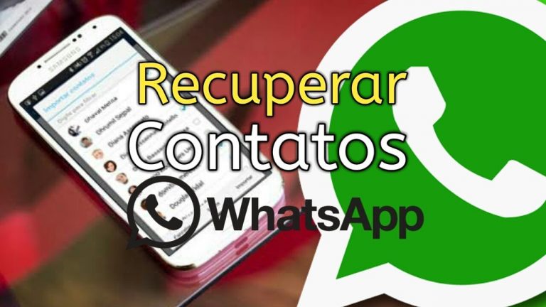 Recuperar Contactos Whatsapp Actualizado Octubre 2023 1727
