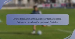 Ahmed Hegazi: Contribuciones internacionales, Éxitos con la selección nacional, Partidos